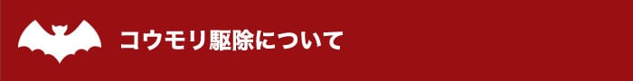コウモリ駆除について