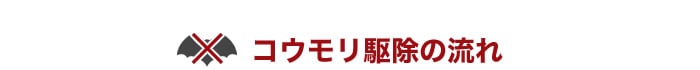 コウモリ駆除の流れ