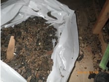 清掃・消毒・消臭 清掃・消毒・消臭