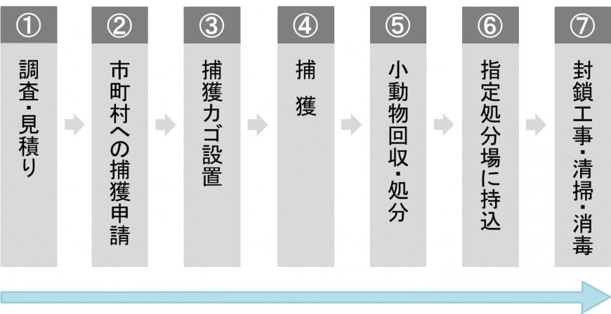 駆除の流れ図