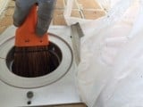 コウモリの生態