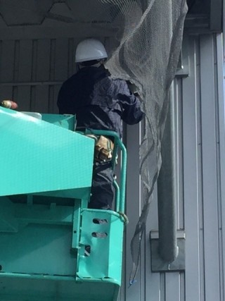 防鳥ネット施工