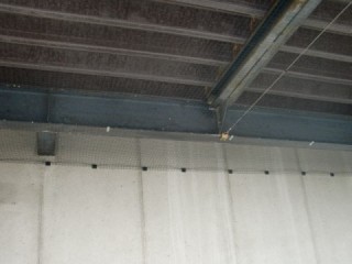 防鳥ネット施工