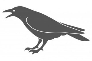 ハト・カラス・野鳥防除