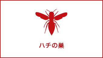 ハチの巣