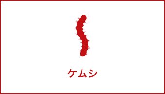 ケムシ