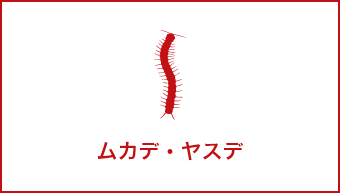 ムカデ・ヤスデ