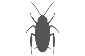 ゴキブリ駆除