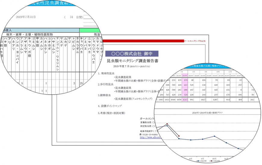 飛来性昆虫調査　データ見本