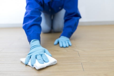 清掃・消毒、侵入口封鎖