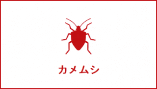 シーズン商品2
