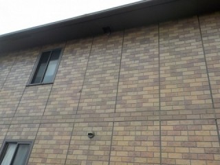 ネズミの対策方法