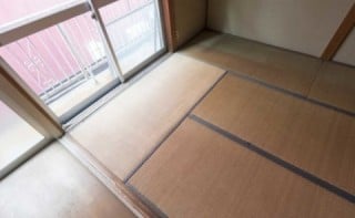 コウモリの生態と被害例 コウモリの生態と被害例