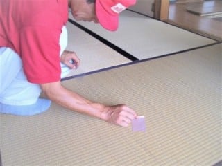 ダニ調査